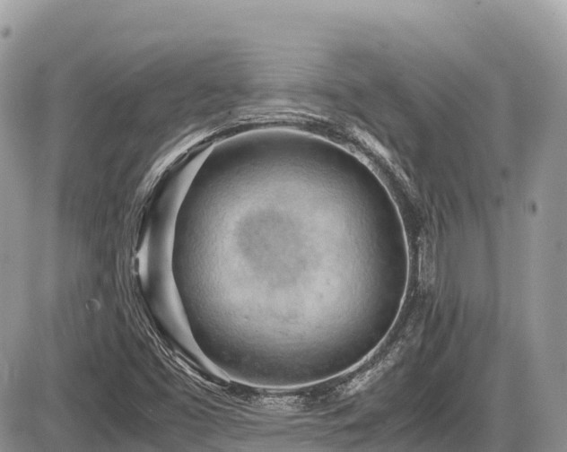 X0000087401453200704201255