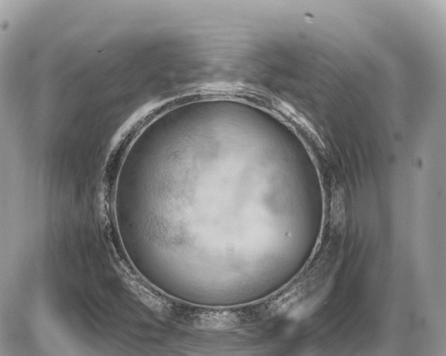 X0000087401454200704201255