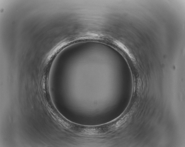 X0000087401455200704201255