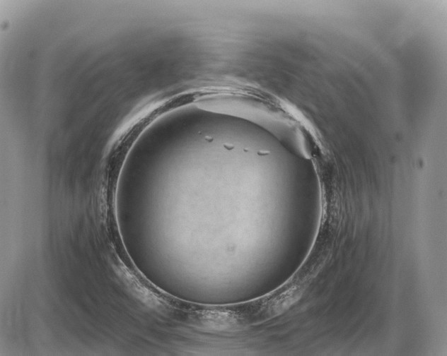 X0000087401456200704201255