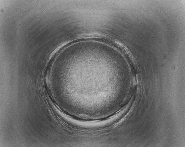 X0000087401457200704201255
