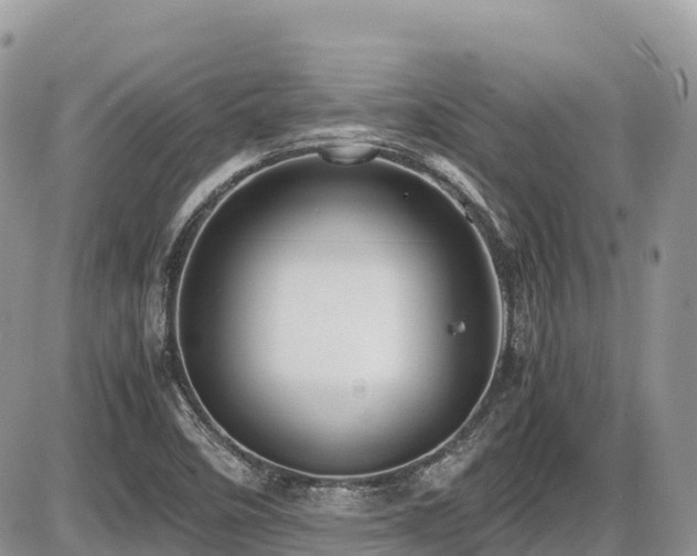 X0000087401458200704201255