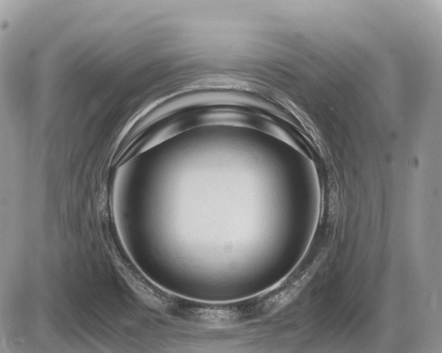X0000087401465200704201255