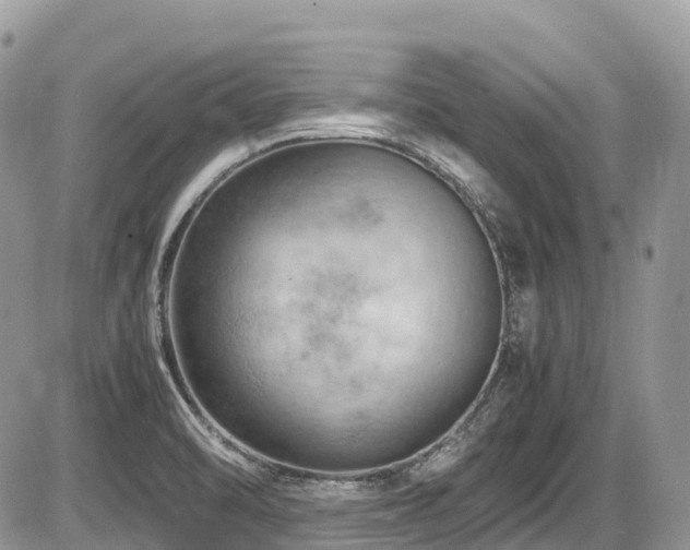 X0000087401470200704201255