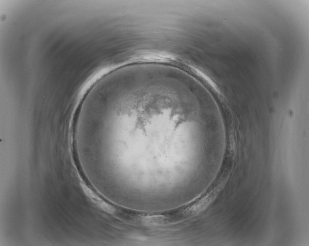 X0000087401471200704201255