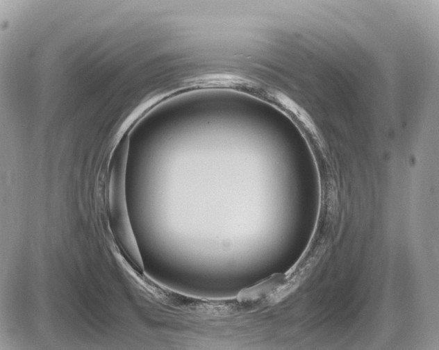 X0000087401473200704201255