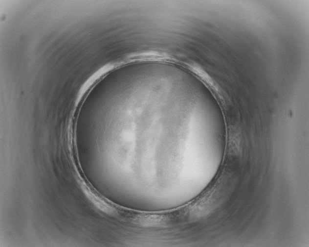X0000087401474200704201255