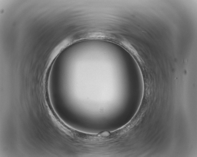 X0000087401475200704201255