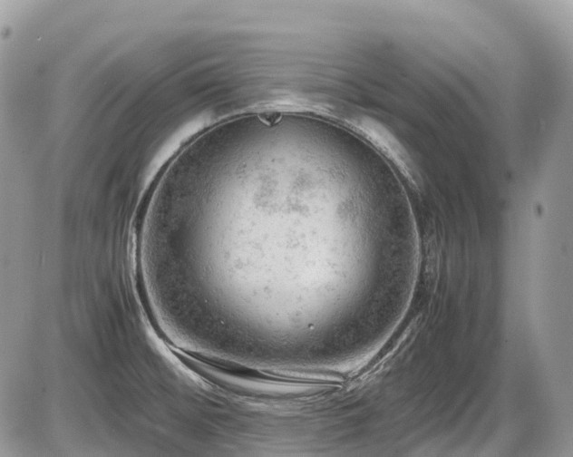 X0000087401476200704201255