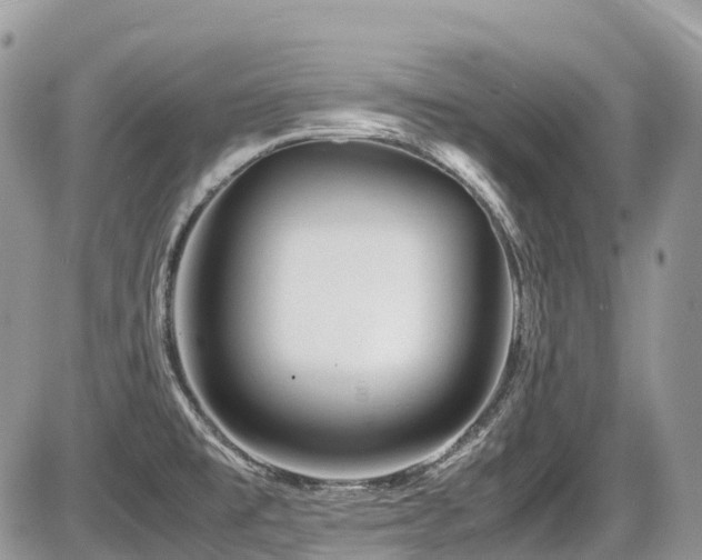 X0000087401477200704201255