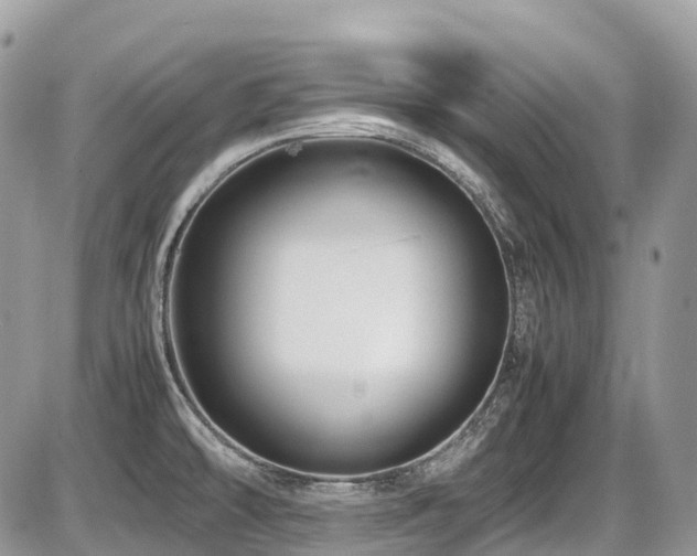 X0000087401478200704201255