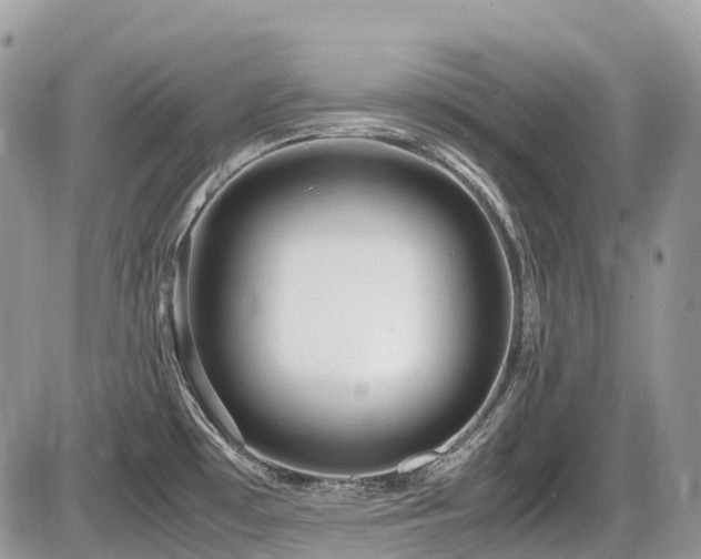 X0000087401481200704201255