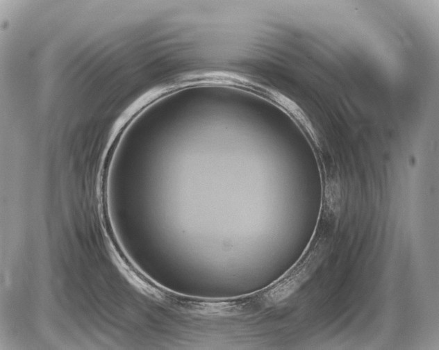 X0000087401482200704201255