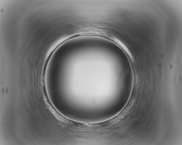 X0000087401485200704201255