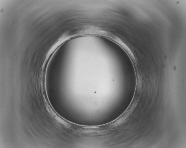 X0000087401486200704201255