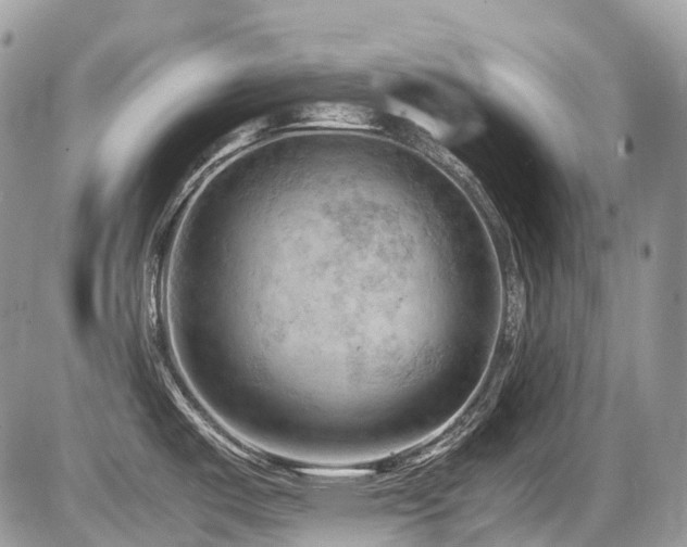 X0000087401487200704201255