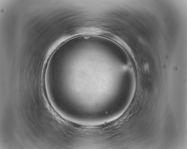 X0000087401488200704201255