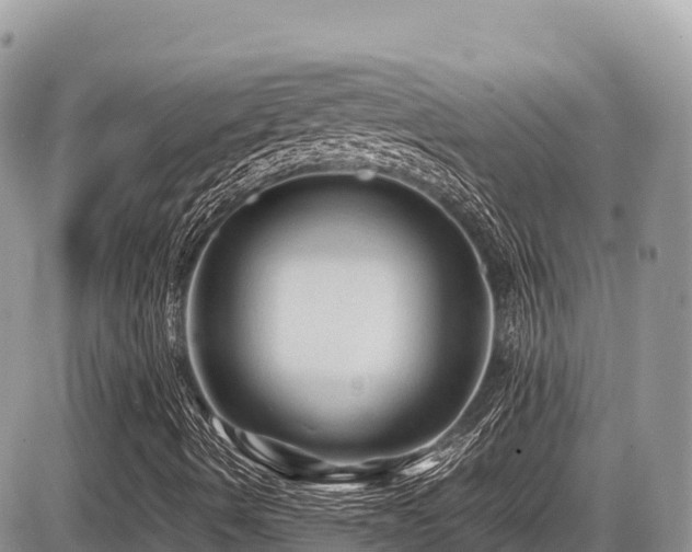 X0000087401490200704201254