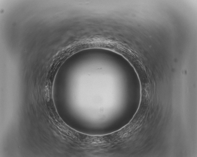 X0000087401493200704201254