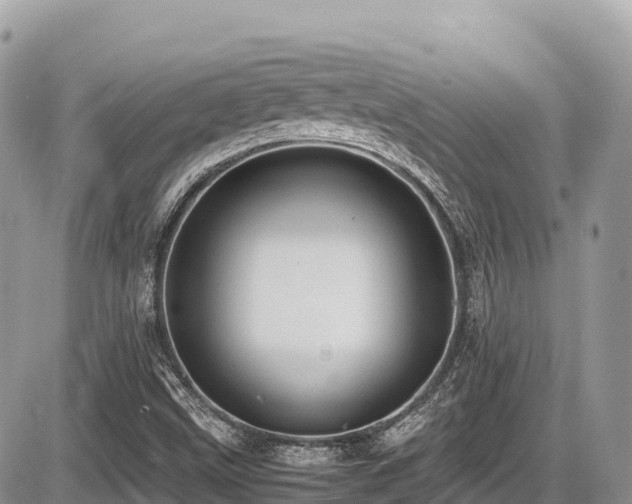 X0000087401499200704201254