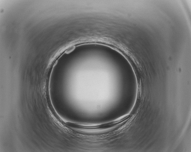 X0000087401500200704201254