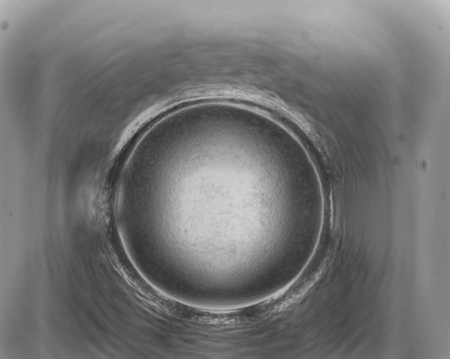 X0000087401501200704201254