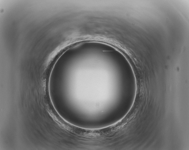 X0000087401503200704201254