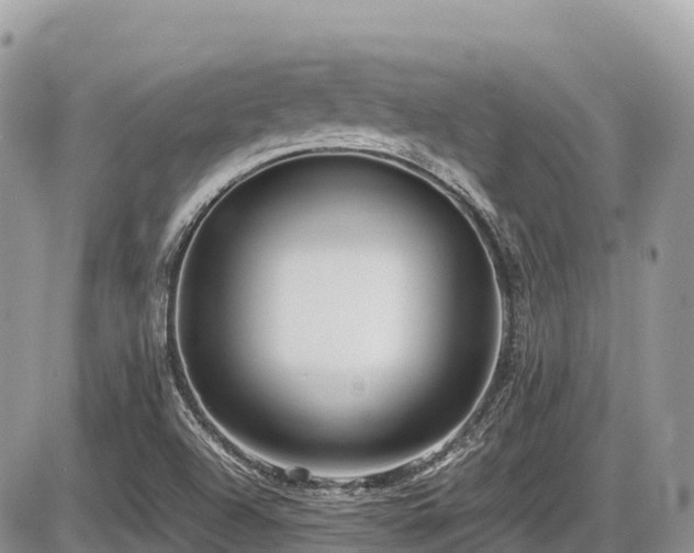 X0000087401504200704201254
