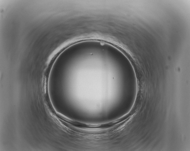 X0000087401510200704201254