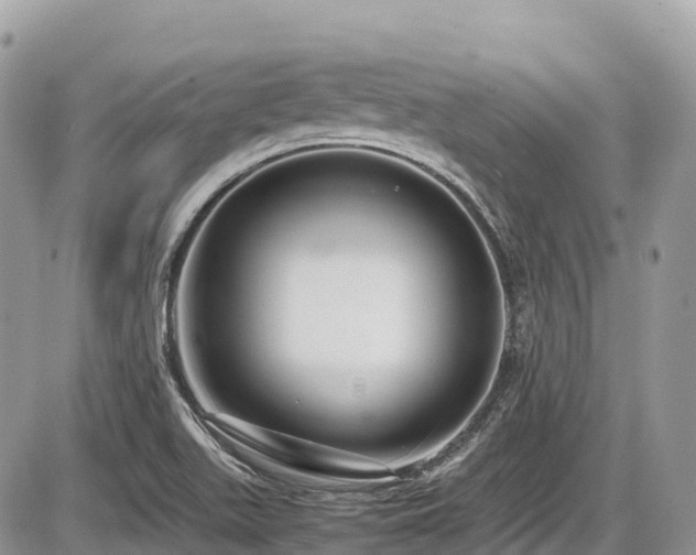 X0000087401511200704201254