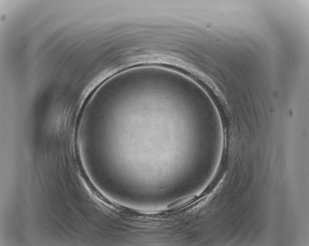X0000087401513200704201254