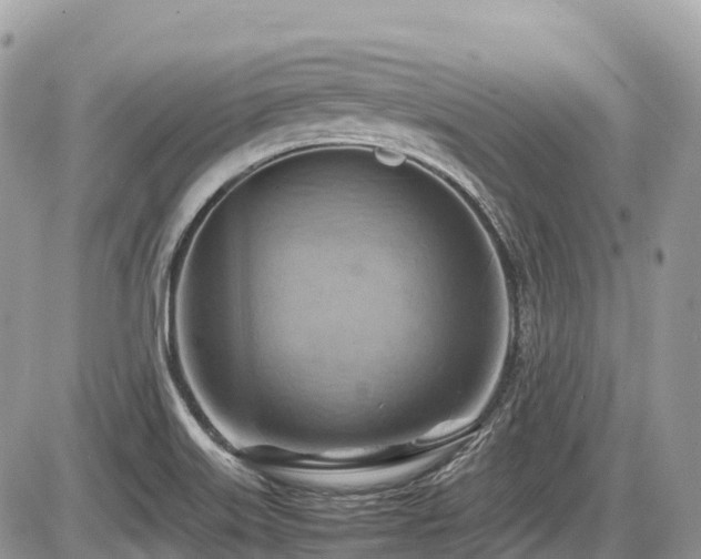 X0000087401515200704201254