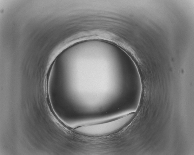 X0000087401516200704201254