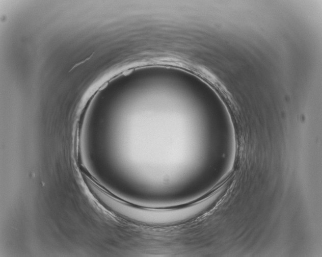 X0000087401520200704201254