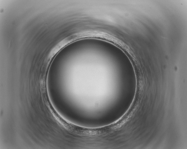 X0000087401521200704201254