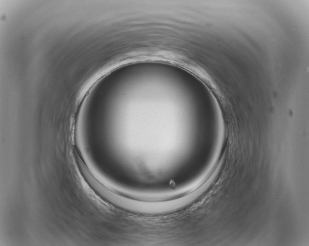 X0000087401524200704201255
