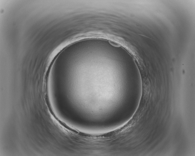 X0000087401527200704201255