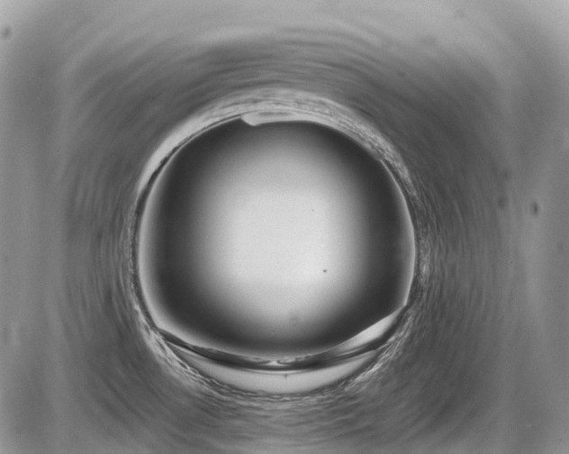 X0000087401530200704201255