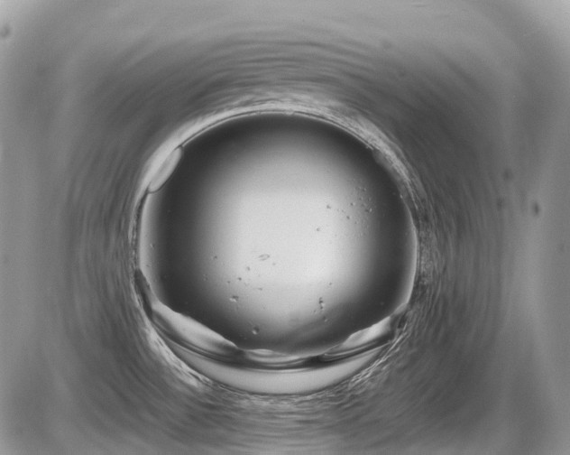X0000087401532200704201255