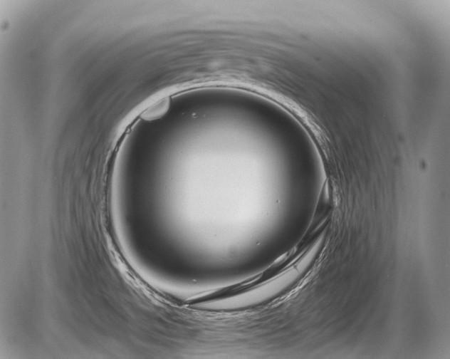 X0000087401534200704201255
