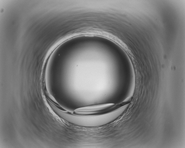 X0000087401536200704201255