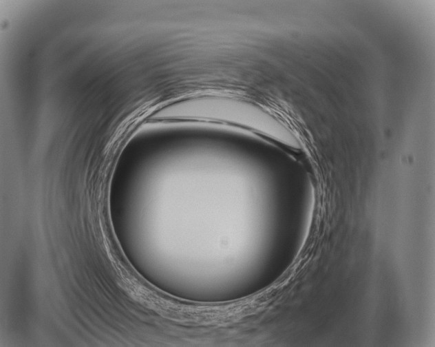 X0000087400001200704271659