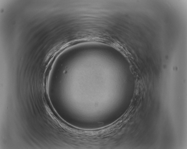 X0000087400002200704271659