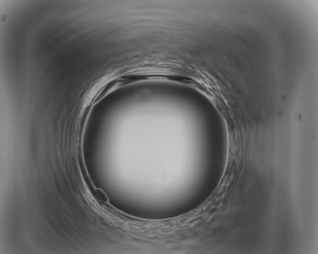 X0000087400003200704271659