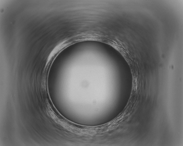 X0000087400004200704271659