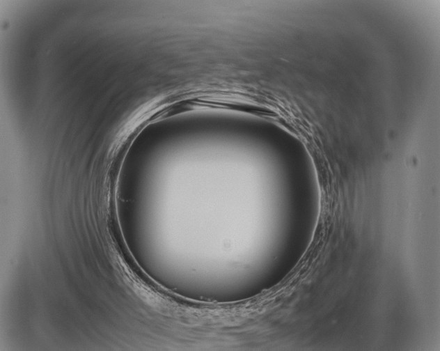 X0000087400005200704271659