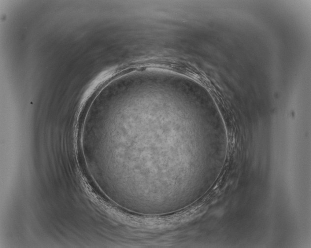 X0000087400006200704271659