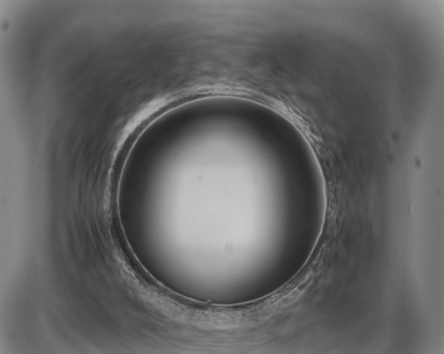 X0000087400008200704271659