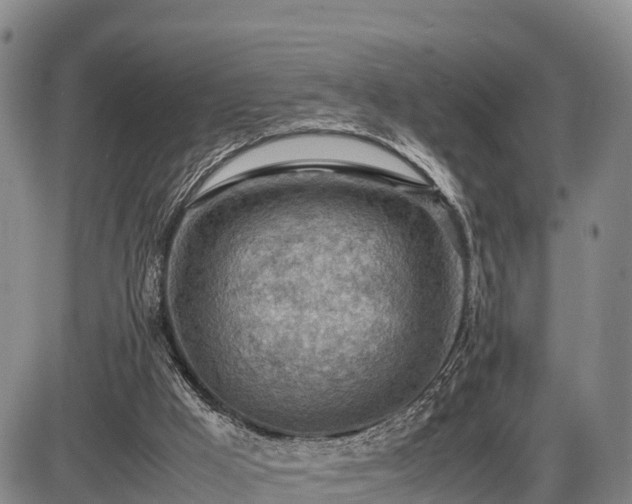 X0000087400009200704271659