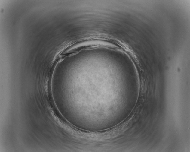 X0000087400010200704271659